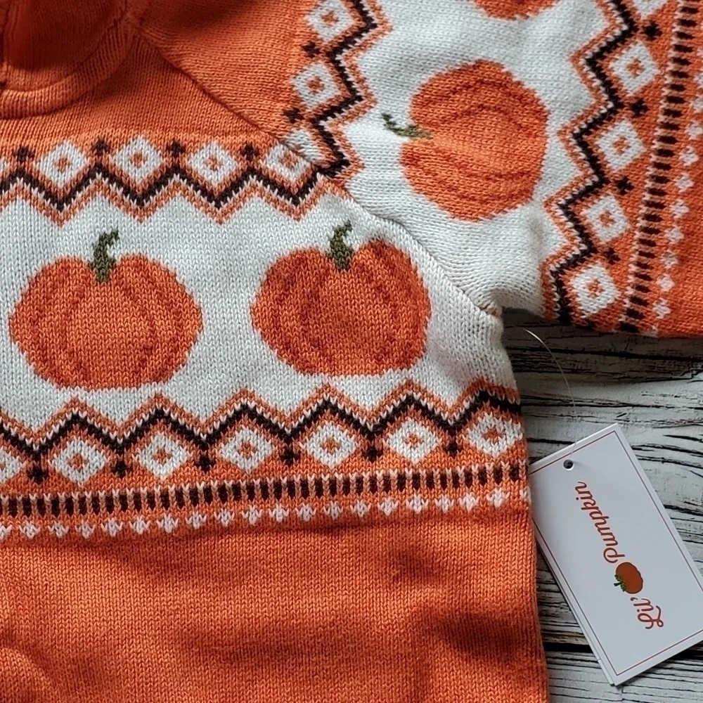 Gymboree Orange Pumpkin Sweater Lil's Pumpkin Collection Hooded Zip Up Sweater